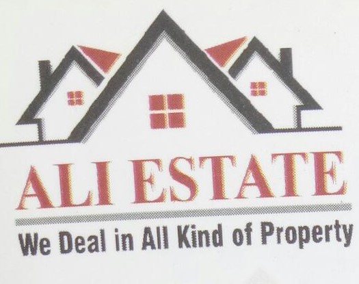 Logo Realestate Agency Ali Estate 
