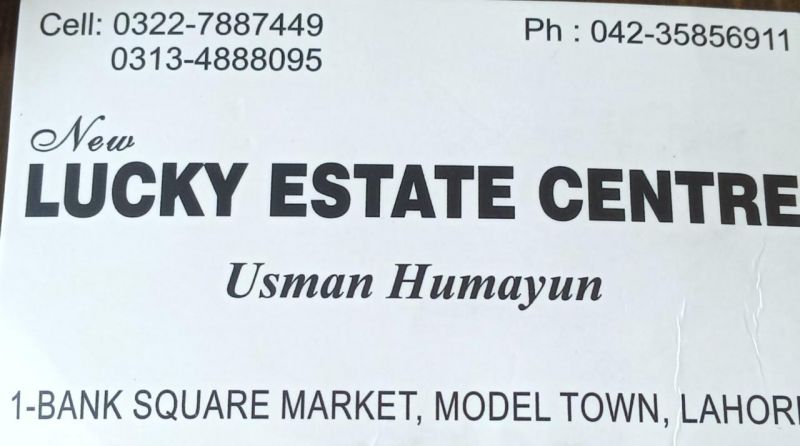 Logo Realestate Agency New Lucky Estate