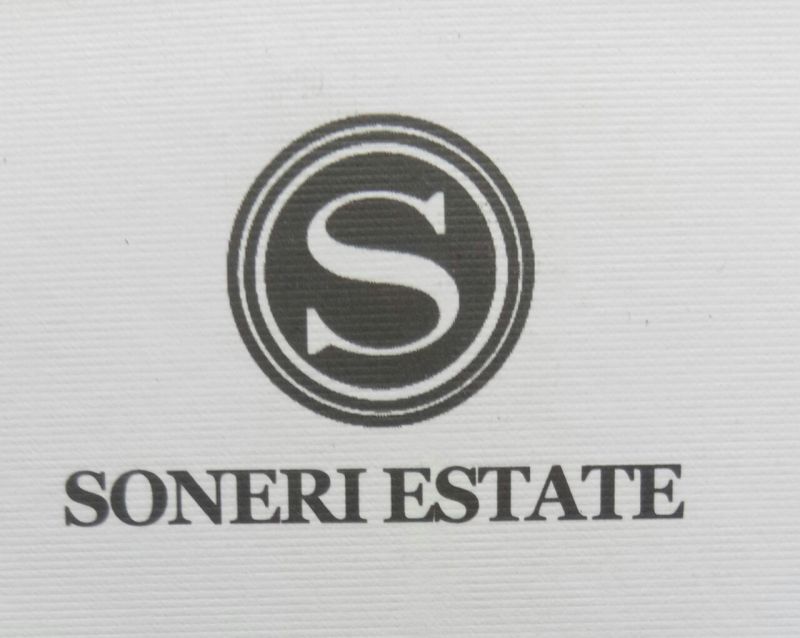 Logo Realestate Agency Soneri Estate 