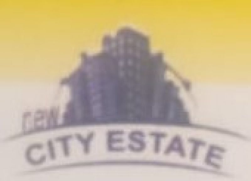 Logo Realestate Agency New City Estate
