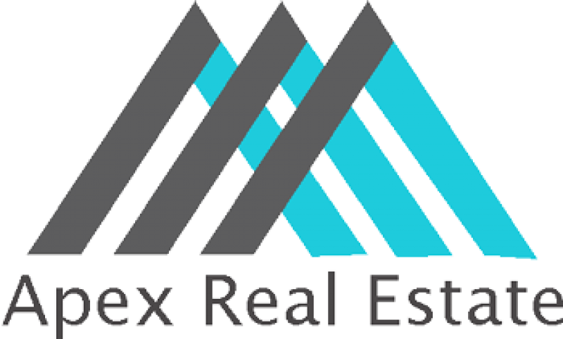 Logo Realestate Agency Apex Real Estate