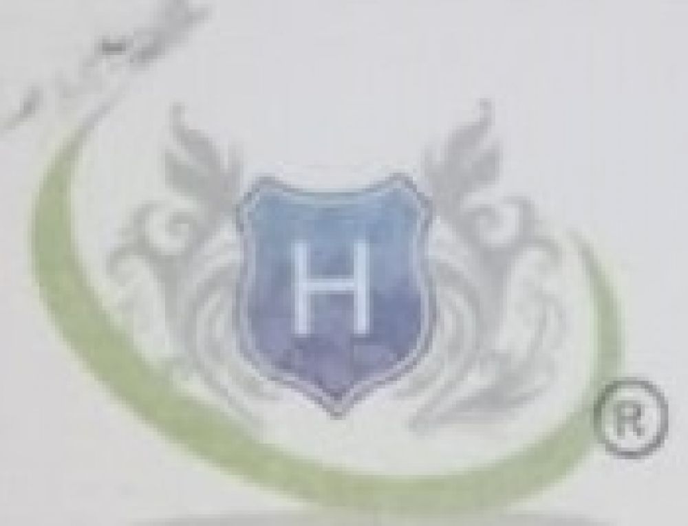 Logo Realestate Agency Hashmi Group Real Estate