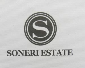 Logo Soneri Estate  Lahore