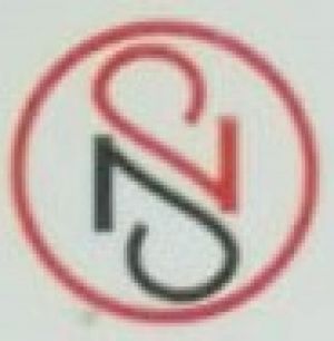 Logo NS Consultants  Faisalabad