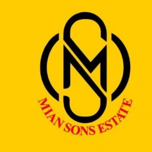 Mian Sons Estate  Lahore