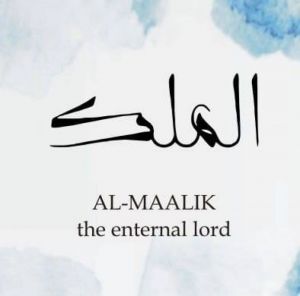 Al Maalik Real Estate & Builders Lahore