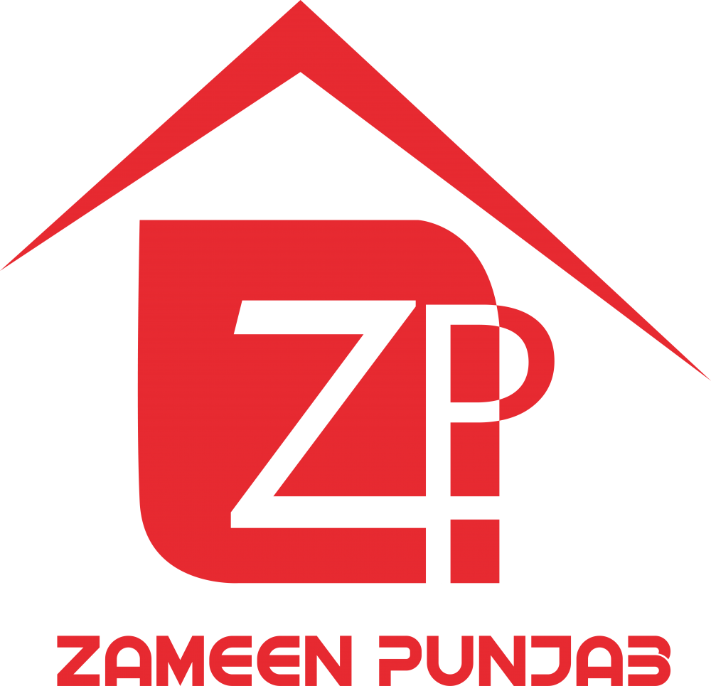 Realestate Agent Rizwan Akbar  working in Realestate Agency Zameen Punjab