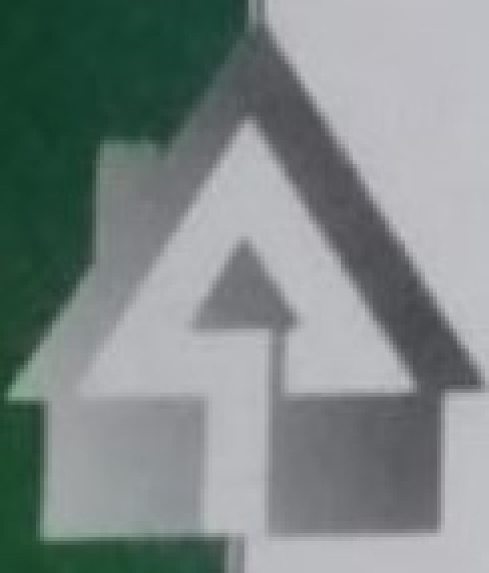 Realestate AgentMohsin Nasir  Ever Green Estate Advisor Faisalabad