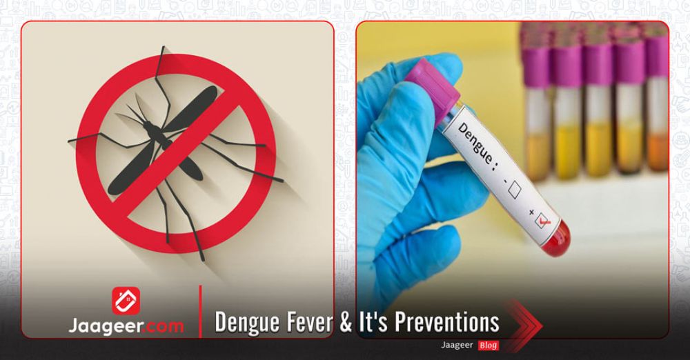 Dengue Fever  It's Preventions