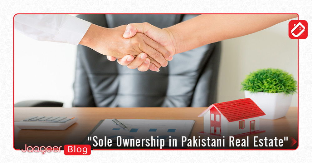Sole Ownership A Complete Guide