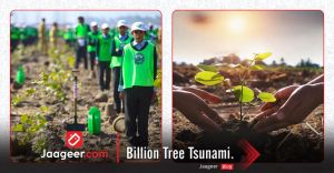 Billion Trees Tsunami 