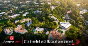 City Blended with Natural Environment.
