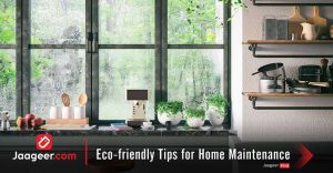Eco-friendly Tips for Home Maintenance