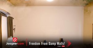 Freedom From Damp Walls