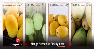 Mango Season Is Finally Here 