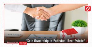 Sole Ownership A Complete Guide