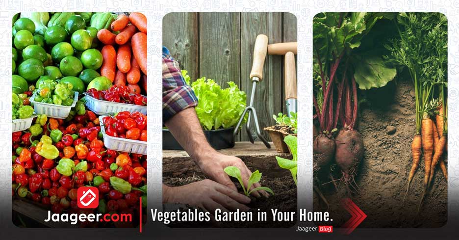 Vegetables Garden in Your Home.