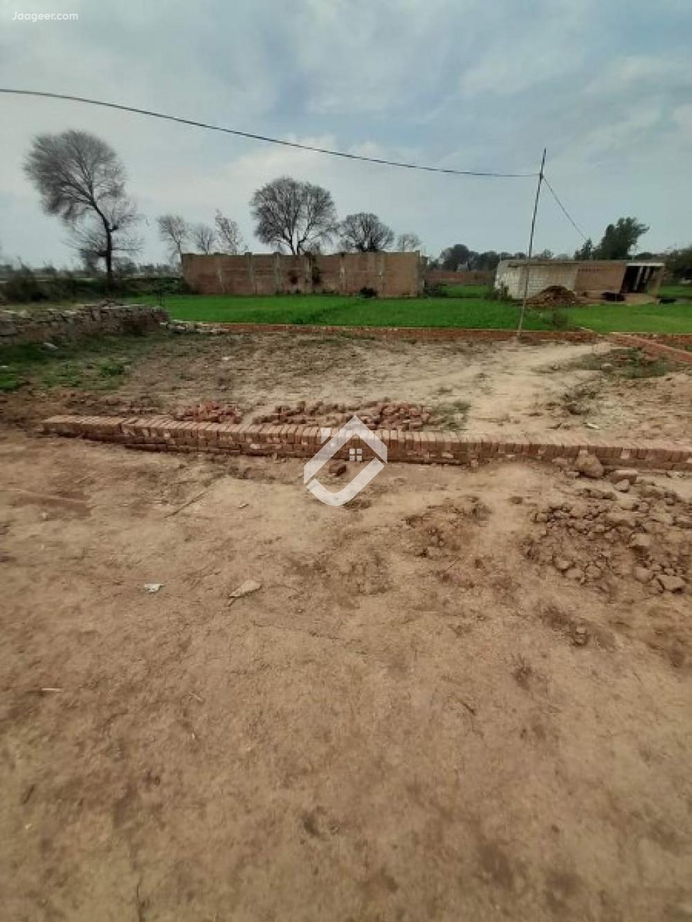 1 Acre Agricultural Land For Sale In Kandiwall Road in Kandiwall Road, Sargodha