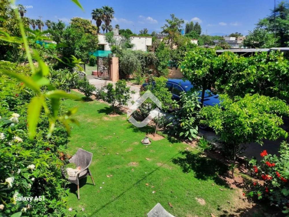 1 Kanal Farm House For Rent In Chak Shahzad Park Road