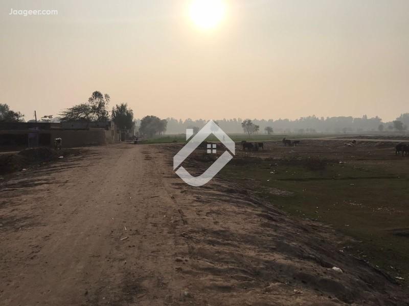 View  1 Kanal Residential Plot For Sale In Royal Green Homes  in Royal Green Homes, Jhal Chakian