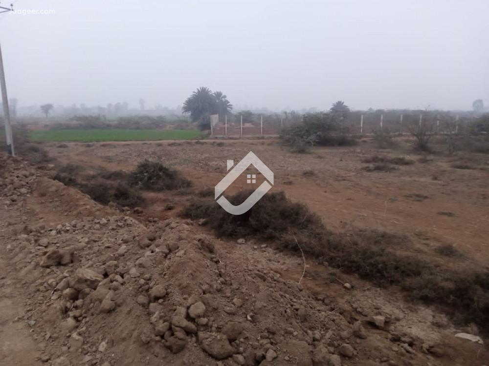 11 Kanal Residential Plot For Sale On Baypas Road Chak No. 41 NB