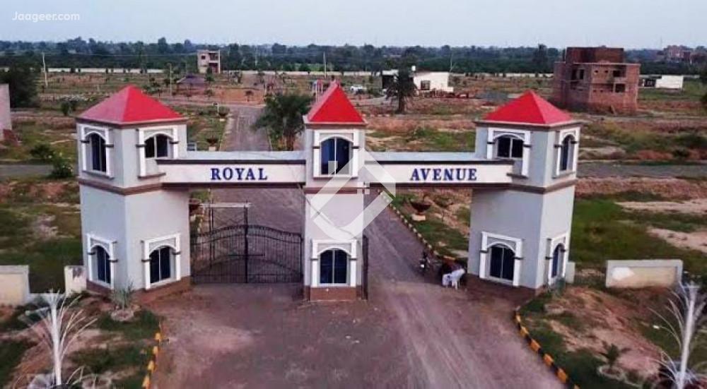 11 Marla Residential Plot For Sale In Royal Avenue