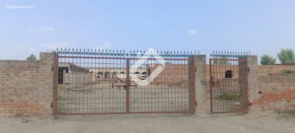 Main image 12 Kanal Agricultural Land For Sale In Chak No 69 SB Chawki Bhagat-Kot Momin Rd