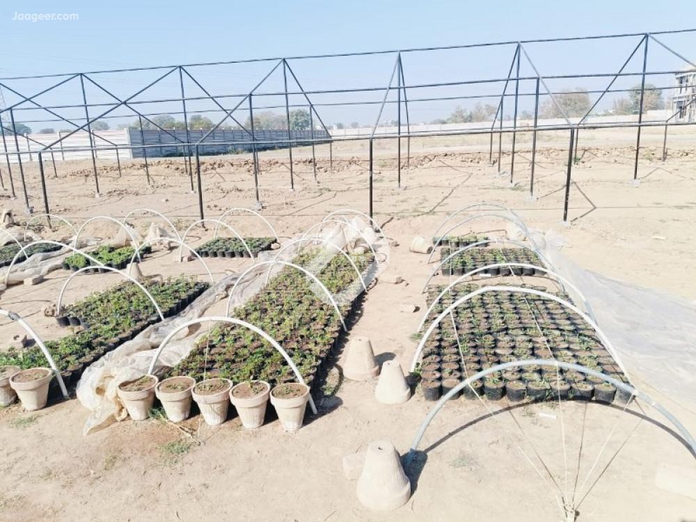 14.72 Marla Residential Plot For Sale In National City