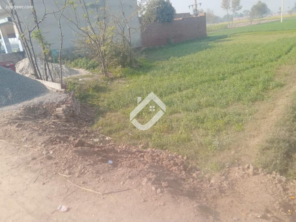 145 Marla Agricultural Land For Sale At Bhalwal Road Chak 30 N.B Hadi Car Wash Oil Change