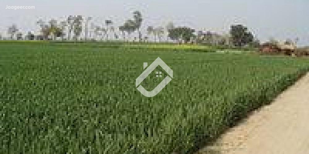 View  2 Acre Agricultural Land  For Sale In Sahianwala Interchange  Chak 145 in Sahianwala Interchange - Exit 3, Faisalabad