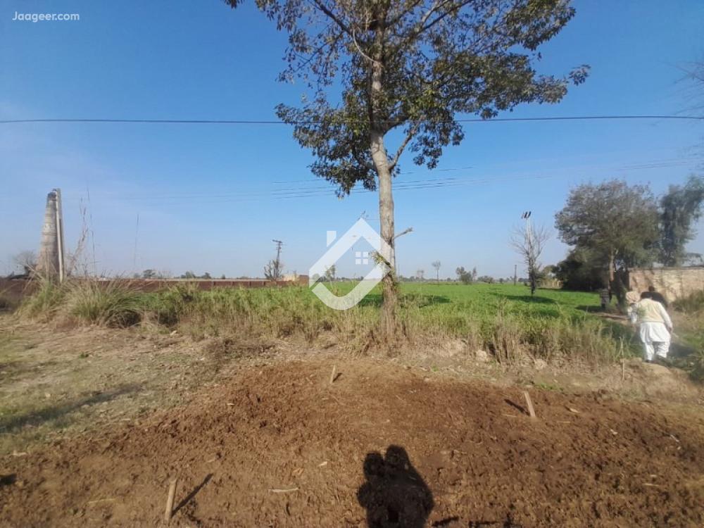 2.5 Acre Agri Land For Sale In Malakwal Road  Near Punjab College, Beside Sikandar Bhatta