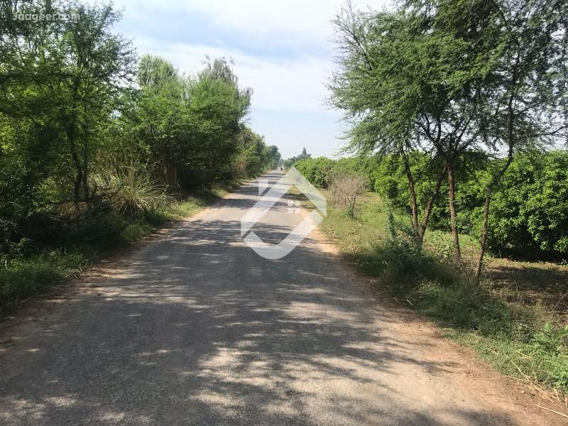 Main image 2.5 Acre Agricultural Land For Sale In Jhal Chakian Chak No 52 N.B Chak#52 N.B