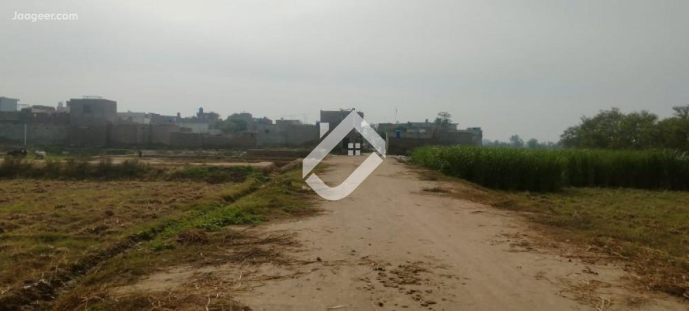 Main image 3 Acre Residential Plot For Sale In 49 Tail Main Road 48 Chak  49 Tails, Sargodha
