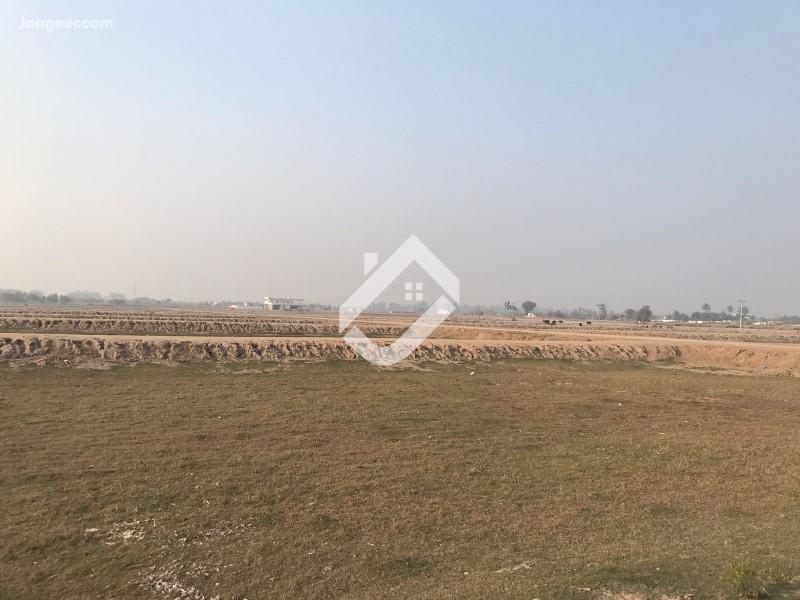 View  3 Marla Residential Plot For Sale In Royal Green Homes  in Royal Green Homes, Jhal Chakian