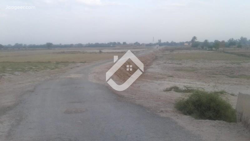 View  4 Acre Agricultural Land  For Sale In Sahianwala Interchange - Exit 3 Chak Jhumra  in Sahianwala Interchange - Exit 3, Faisalabad