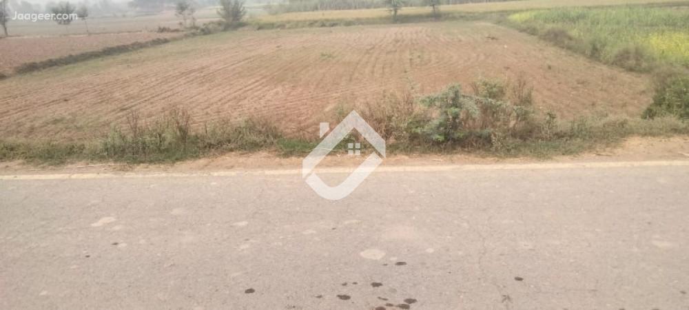 4 Kanal Agricultural Land For Sale At Sargodha Bypass in Lahore Road Bypass, Sargodha