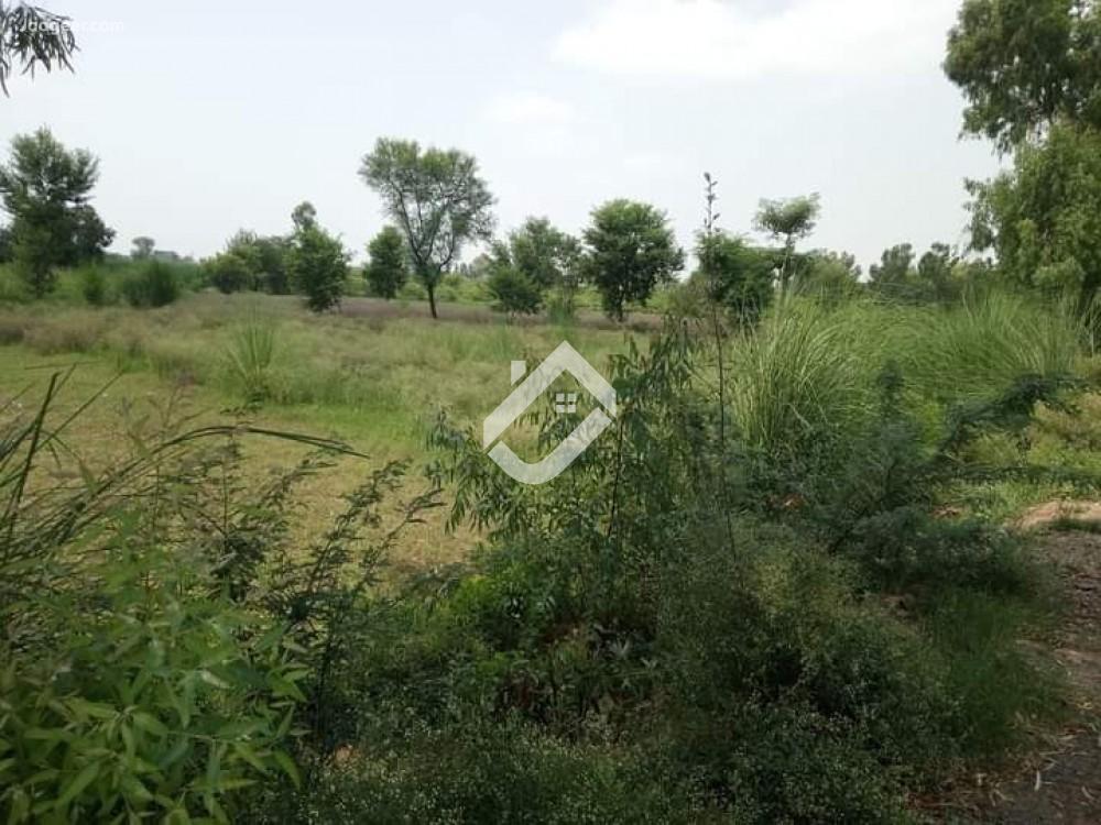 Main image 4 Kanal Agricultural Land For Sale In Chowki Bhagat Lahore Road Chowki Bhagat Lahore Road