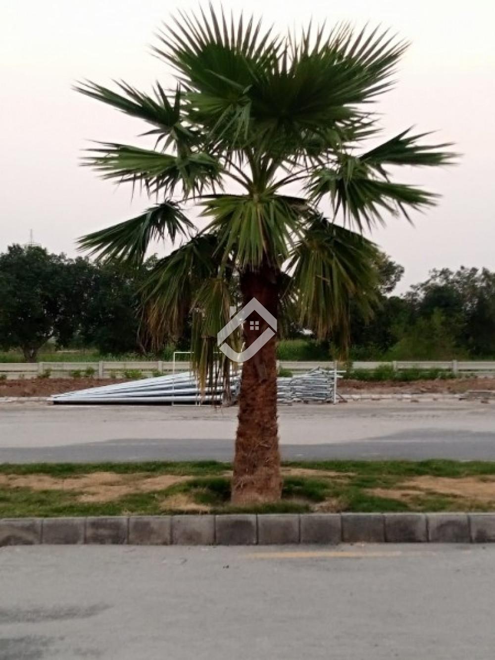 5 Marla Residential Plot For Sale In Pearl Residencia 