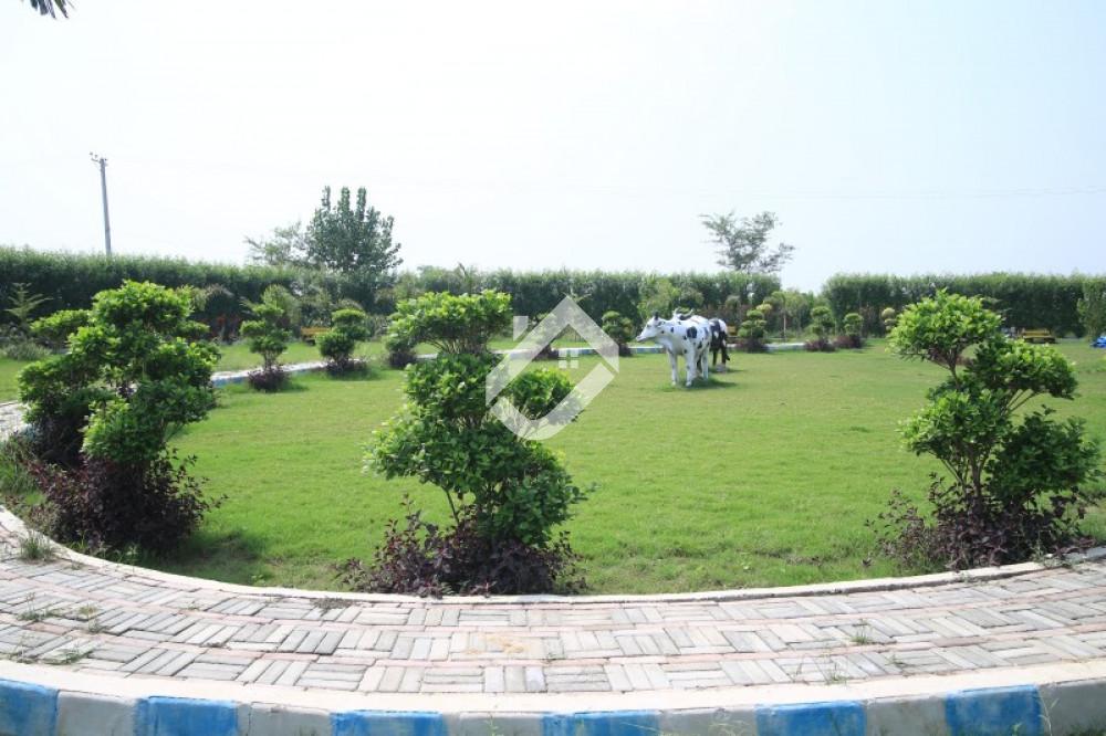 5 Marla Residential Plot For Sale In Shaheen City Shaheenabad Road 