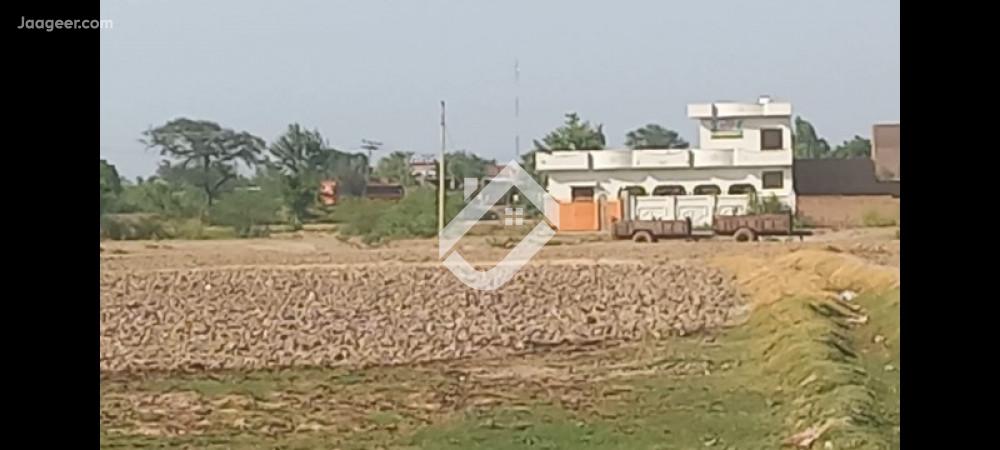 56 Kanal Residential Plot For Sale On Jhang Road