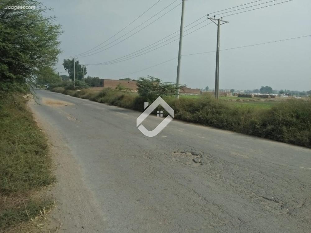 6 Acre Agricultural Land For Sale In 49 Tail