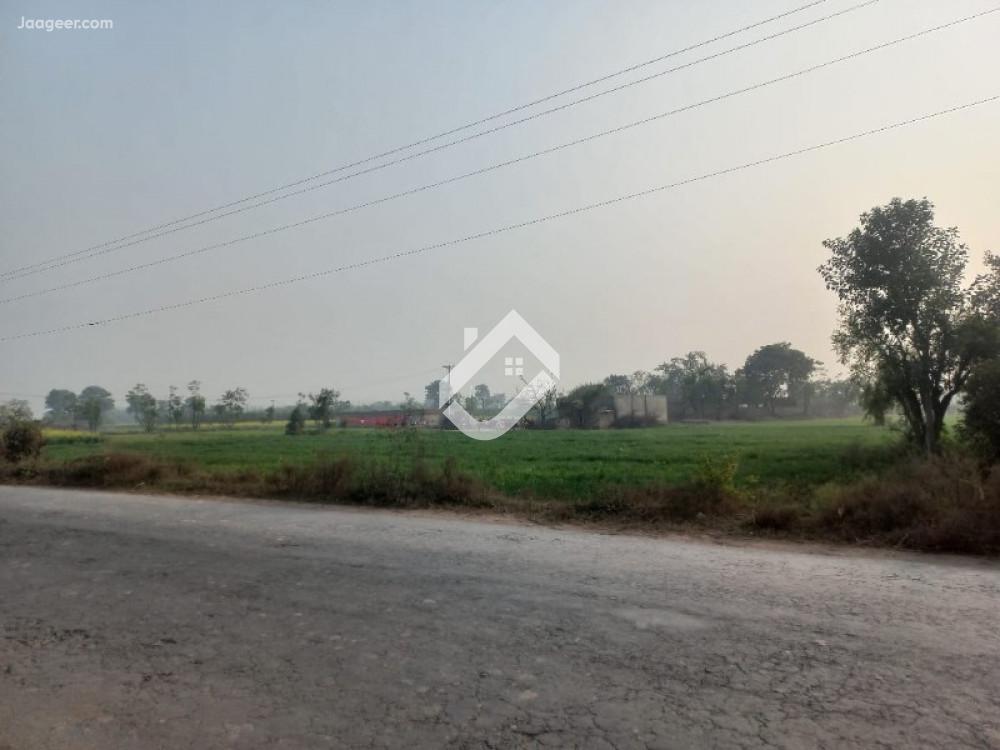 View  6 Acre Commercial Plot For Sale On Mitha lak Road in Mitha lak Road, Sargodha