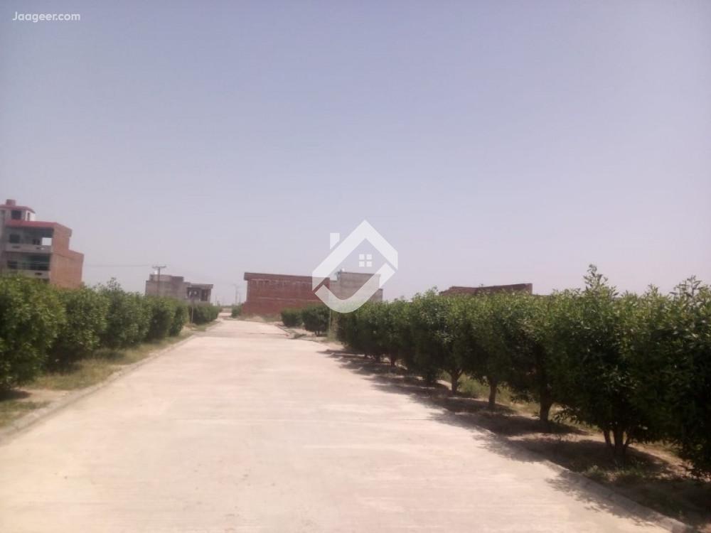 home-1