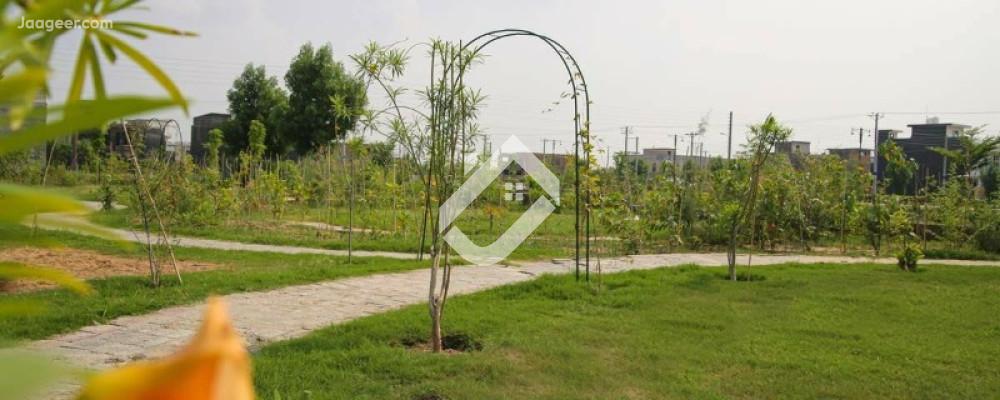 6.84 Marla Residential Plot For Sale In Gulberg City