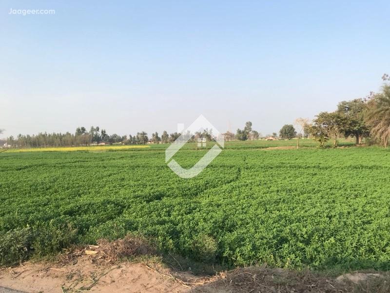 7 Acre Residential Plot  For Sale In Jhal Chakian in Jhal Chakian, Sargodha