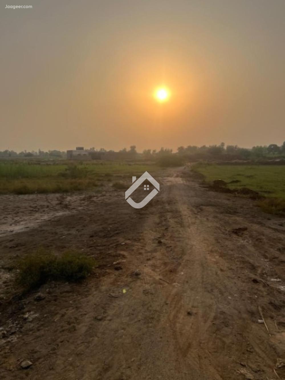 37.5 Kanal Commercial Plot For Sale In Faisalabad Road, Near Medical College