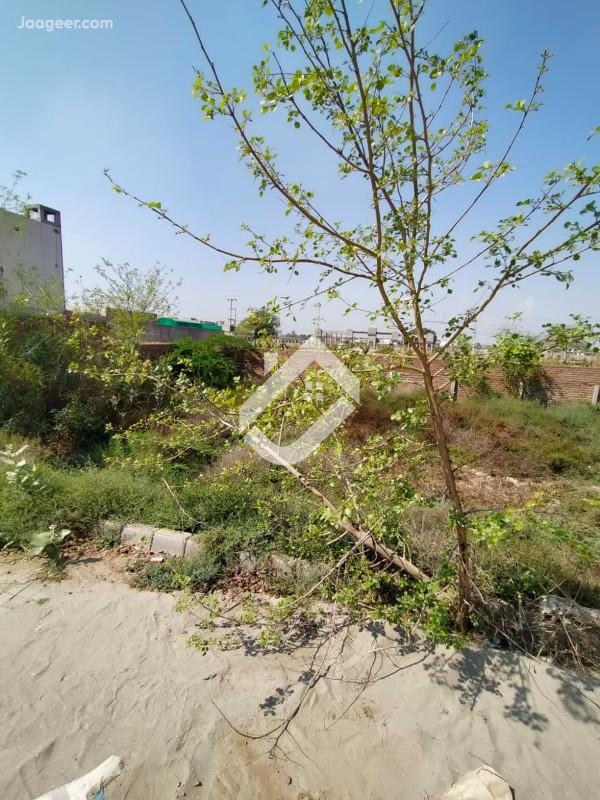 View 1 8 Marla Residential Plot For Sale At PAF Road in Link PAF To Faisalabad Road, Sargodha