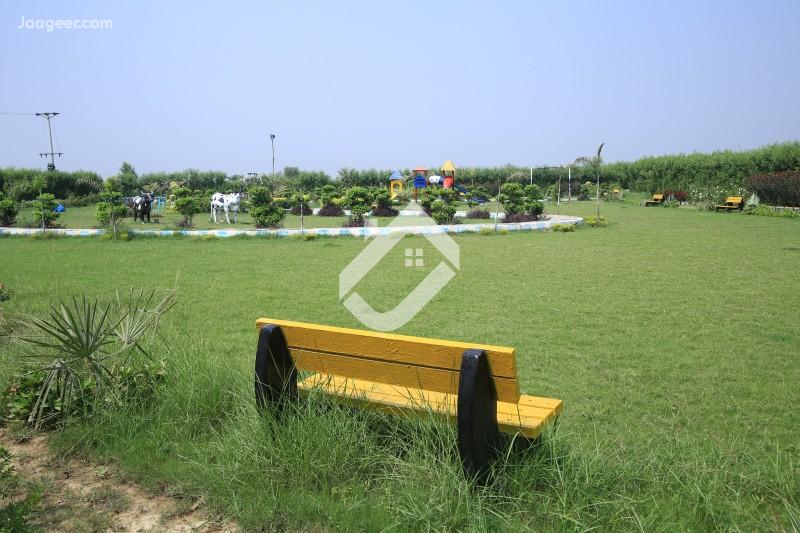 Main image 8 Marla Residential Plot For Sale In Shaheen City Shaheen City, Sargodha