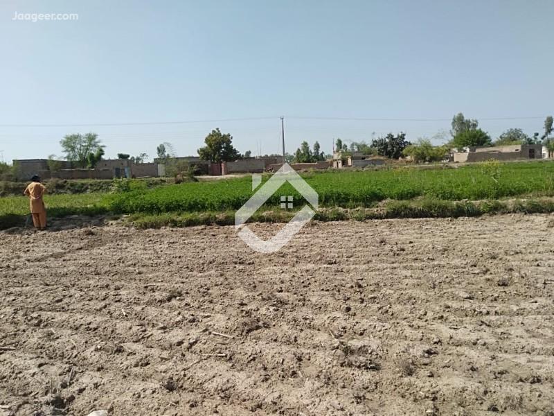 View  88 Marla Agriculture Land For Sale At Sial Mor Interchange in Sial Mor Interchange, Sargodha