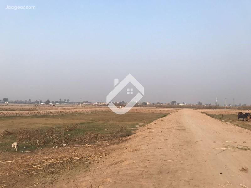 View  9 Marla Residential Plot For Sale In Royal Green Homes  in Royal Green Homes, Jhal Chakian